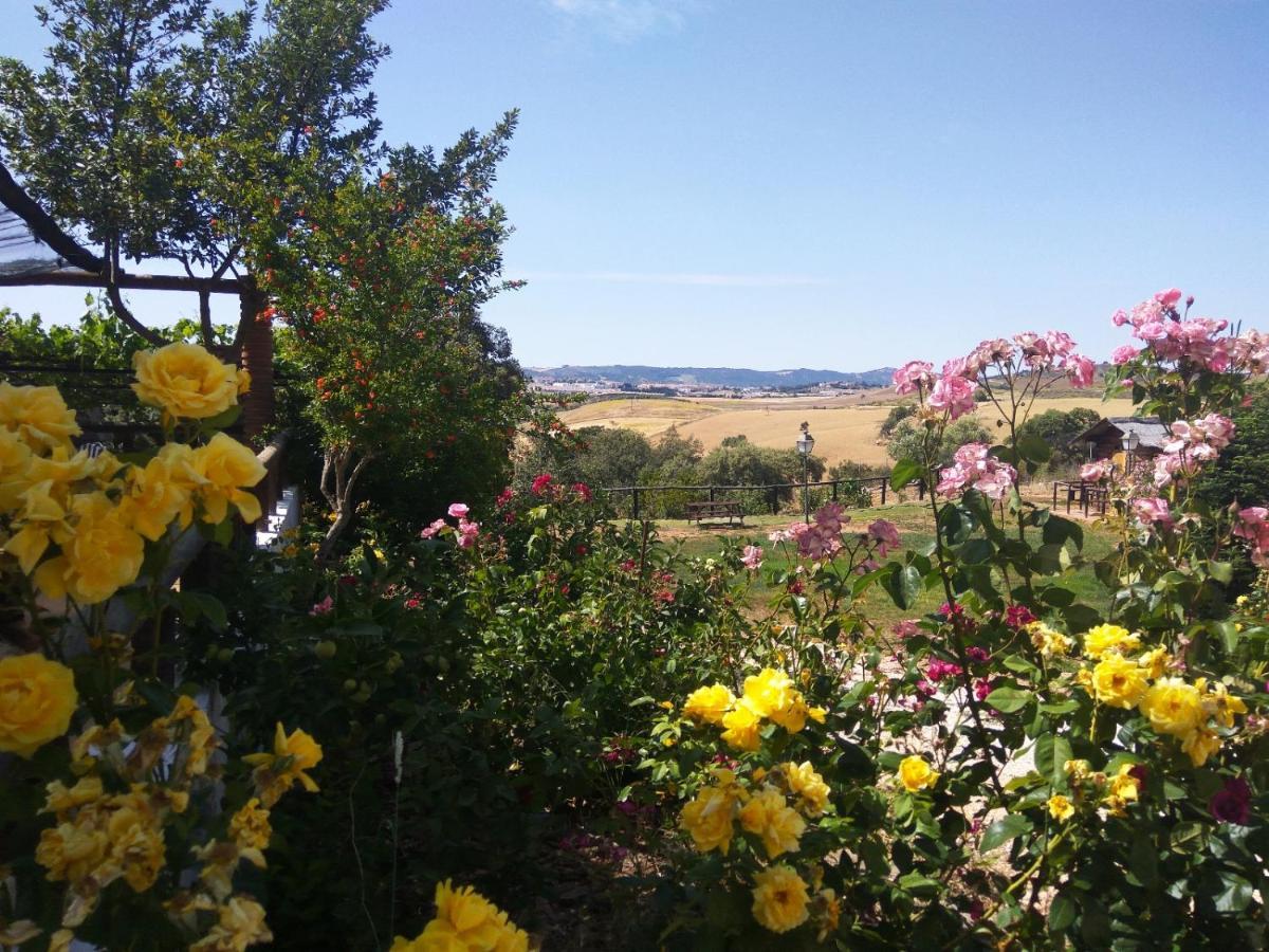 Casa Rural Bellavista Ronda Eksteriør billede