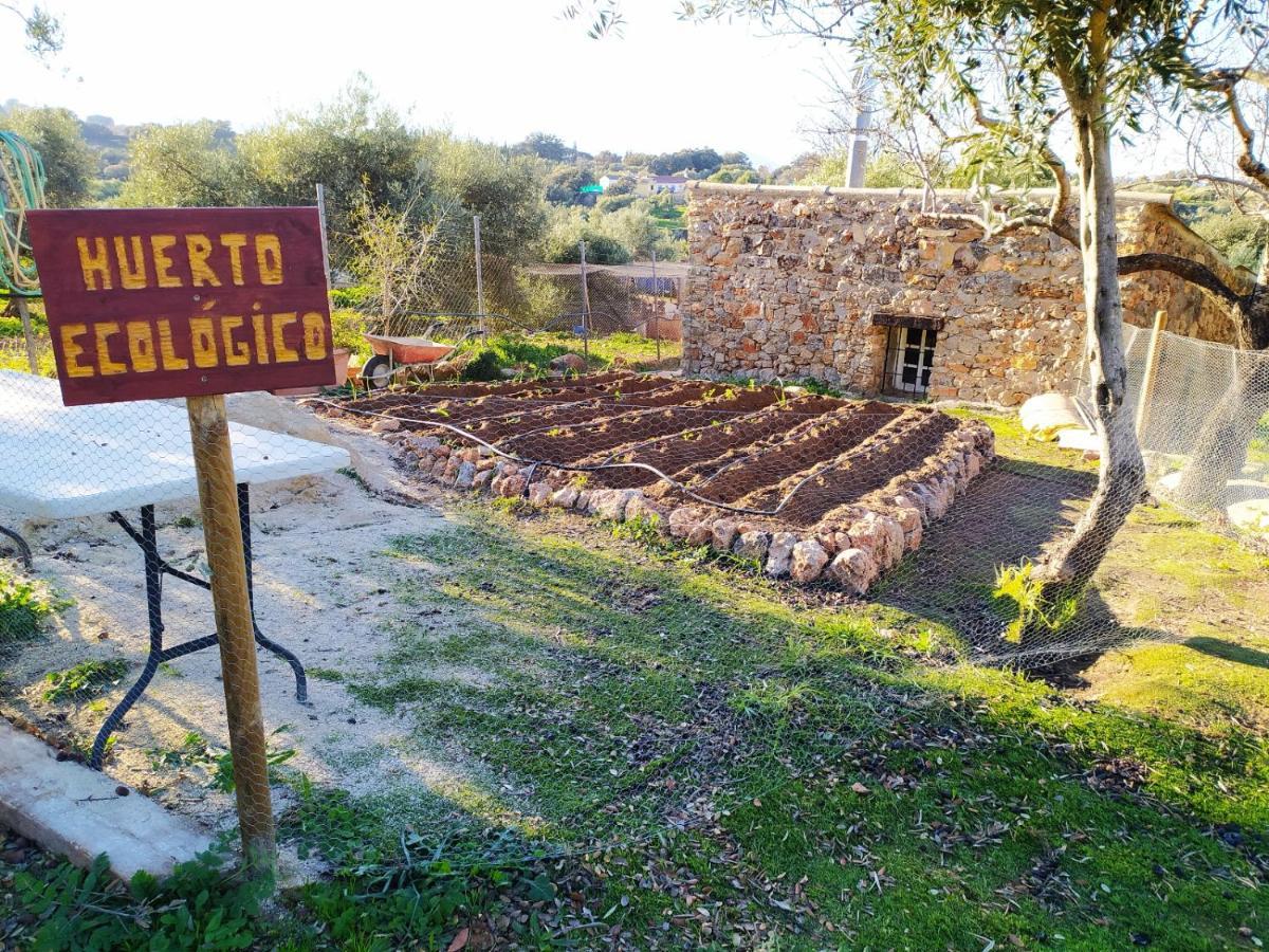 Casa Rural Bellavista Ronda Eksteriør billede