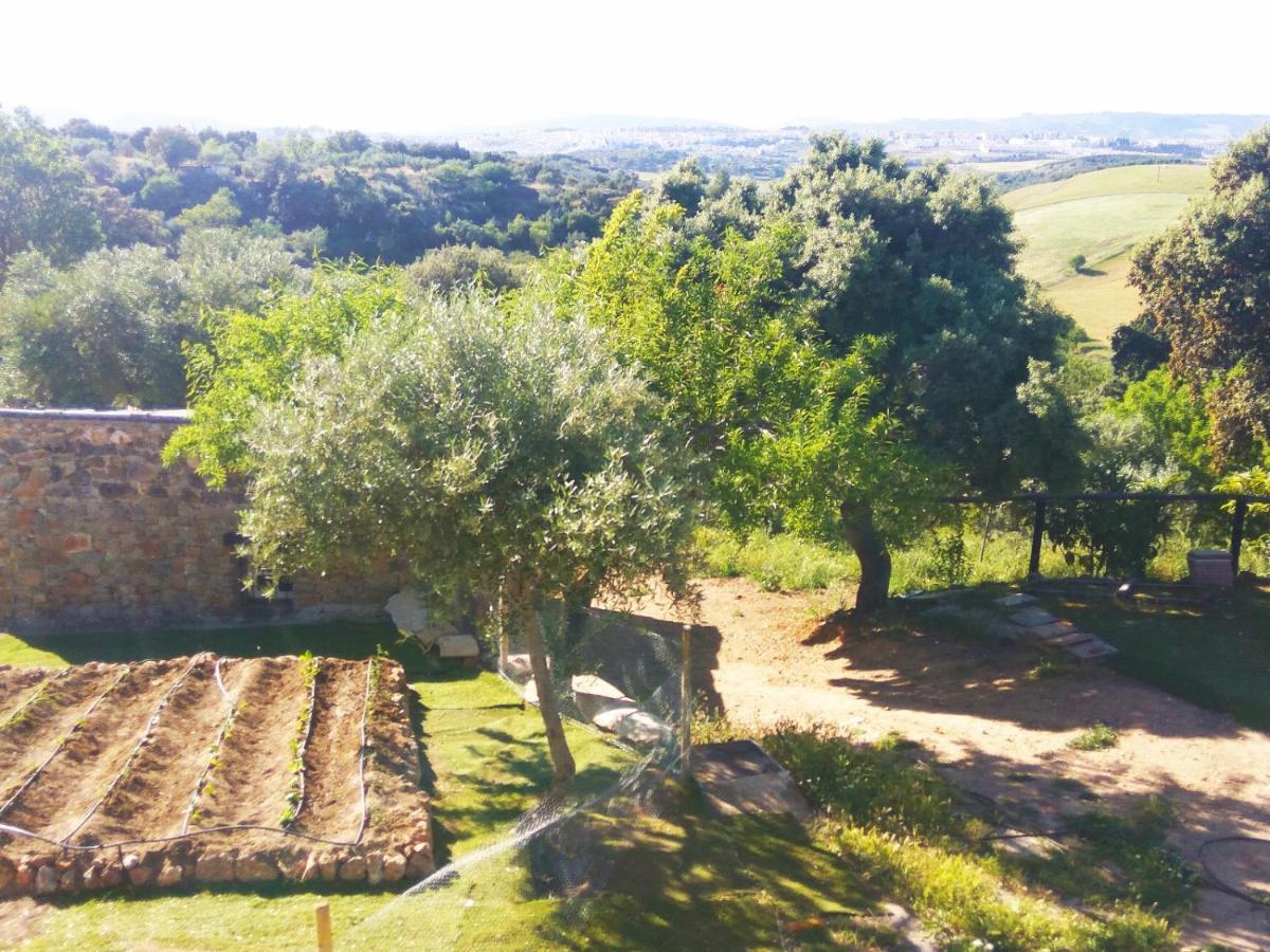 Casa Rural Bellavista Ronda Eksteriør billede
