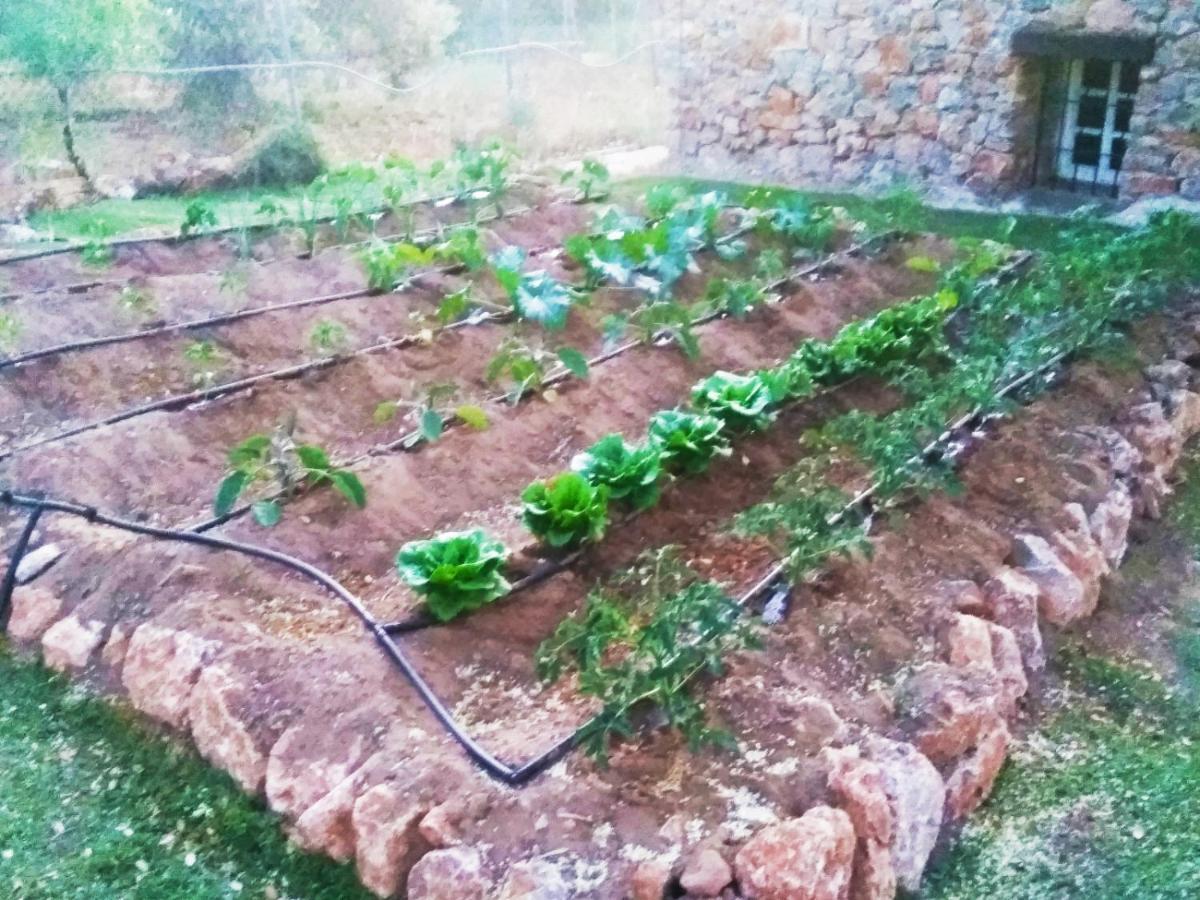 Casa Rural Bellavista Ronda Eksteriør billede
