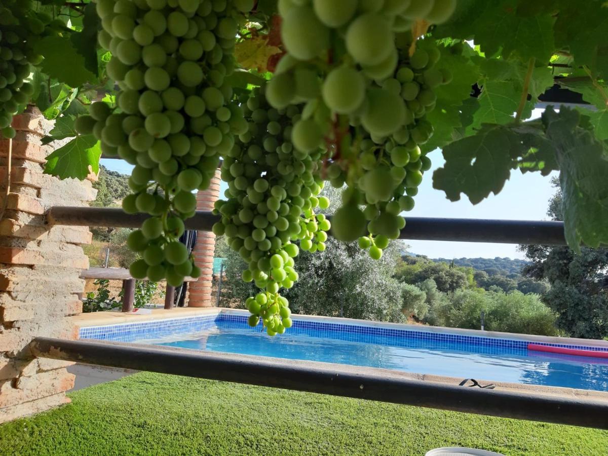 Casa Rural Bellavista Ronda Eksteriør billede